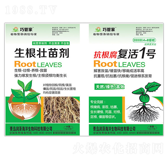 �������焩+��������(f��)��1̖-�ɹܼ�-����