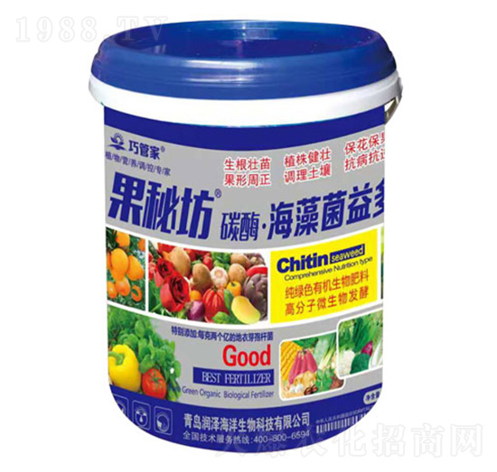 ��������-����