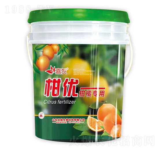 ���ٌ�(zhu��n)��-�̃�(y��u)-ؐ������