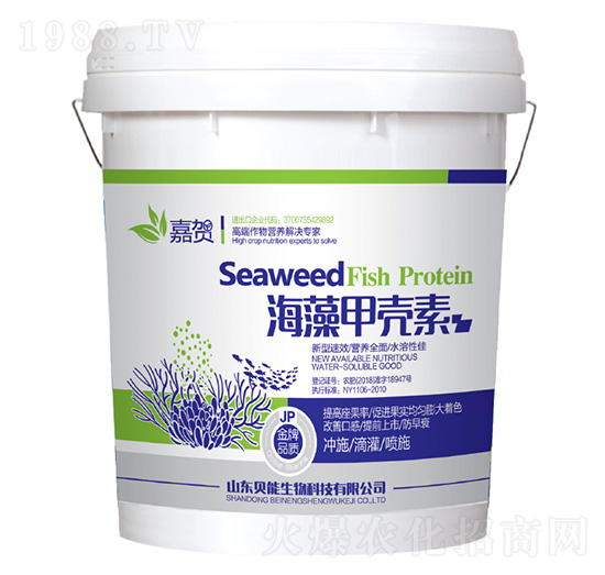 ����ך���-ؐ������