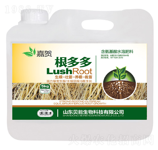 ��������ˮ�ܷ���-�����-ؐ������