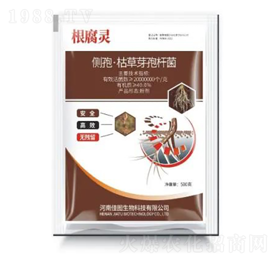 ���ߡ��ݲ�ѿ�ߗU��-�����`-�ÌW��