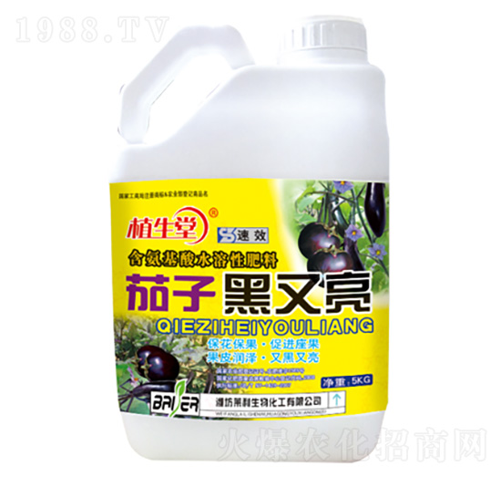 ���Ӻ����� ֲ���� �R������