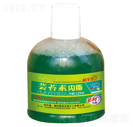 �|̦�؃�(n��i)�� �R������