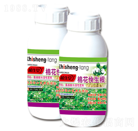 �޻������� ֲ���� �R������