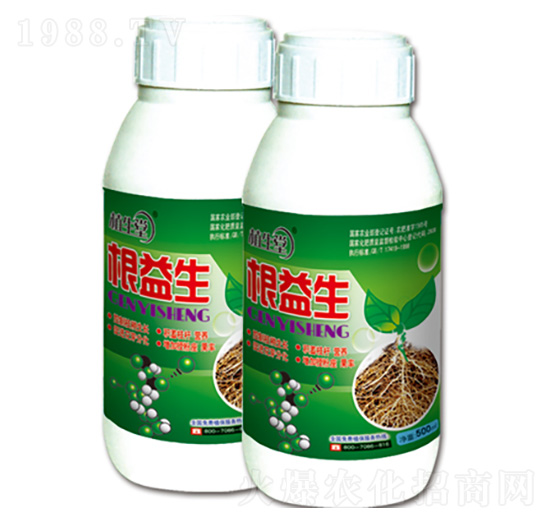 ������ �R������