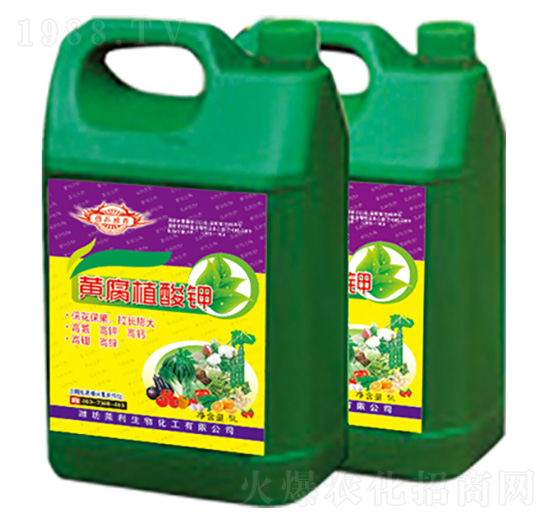 �S��ֲ��� ֲ���� �R������