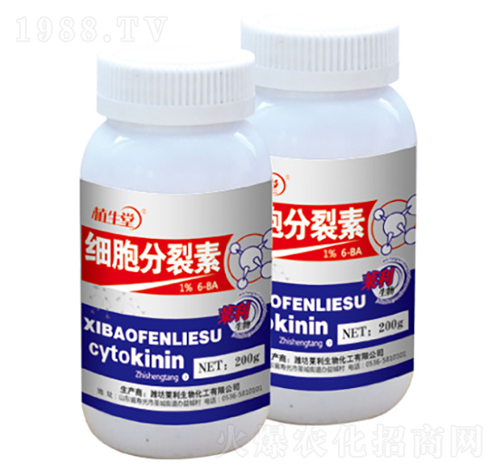 ��(x��)�������� 200g ֲ���� �R������