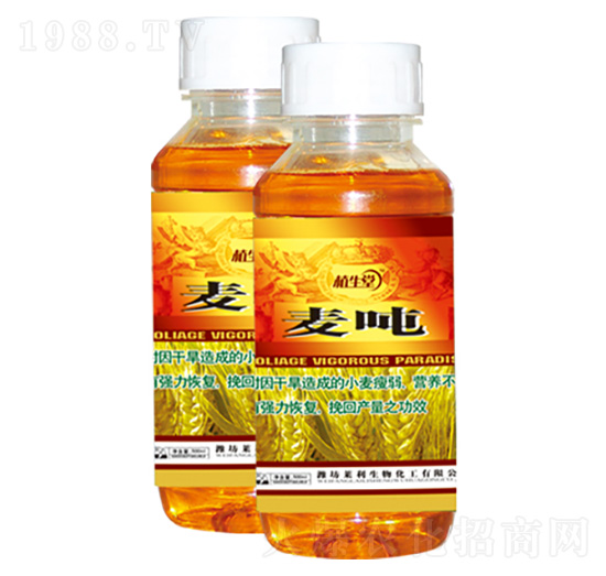 ���� ֲ���� �R������