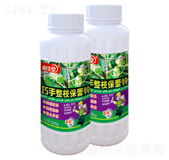 ������֧����� ֲ���� �R������