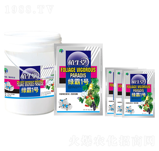 �G��1̖(h��o) �R������