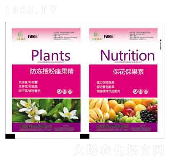 �����ڷ�������+���������� ����