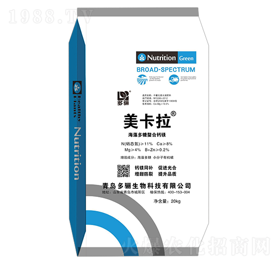 ������������}�V ������ ���P����