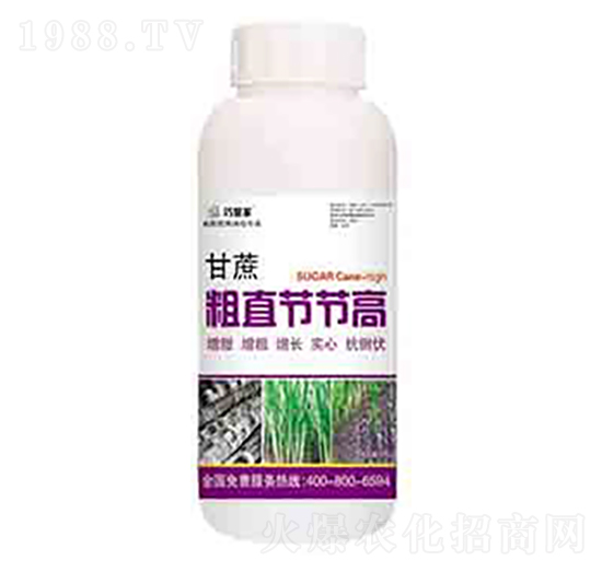 �����ֱ��(ji��)��(ji��)�� ����