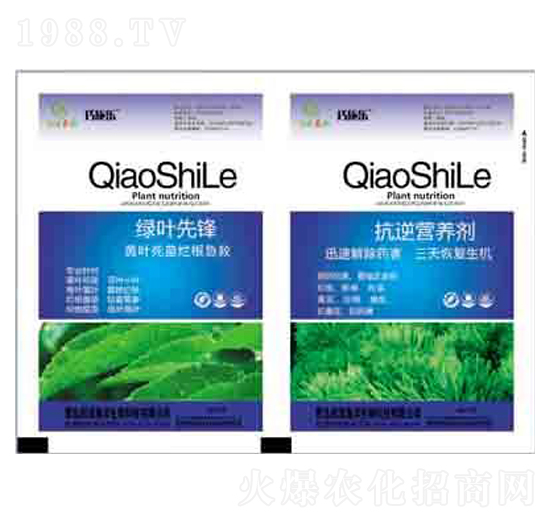 �G�~���h+����I�B(y��ng)�� ����