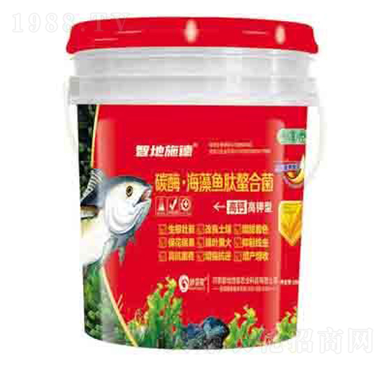 ̼ø�������~�����Ͼ� ����