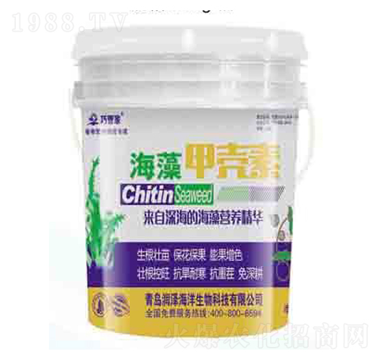 ����ך��� �ɹܼ� ��(r��n)��