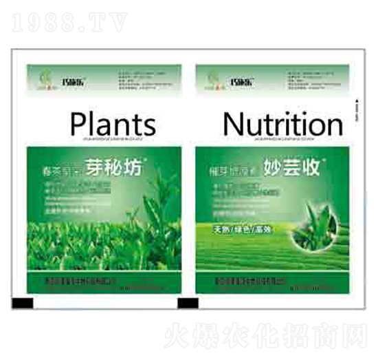 �������ѿ�ط�+��ѿ������ ����