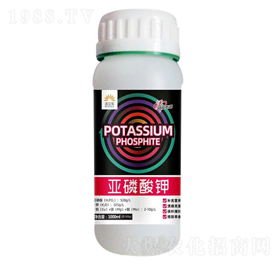 �������-�֠���