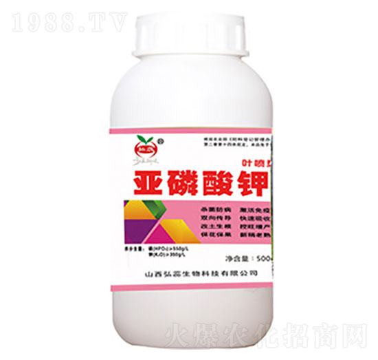 500g�������-����