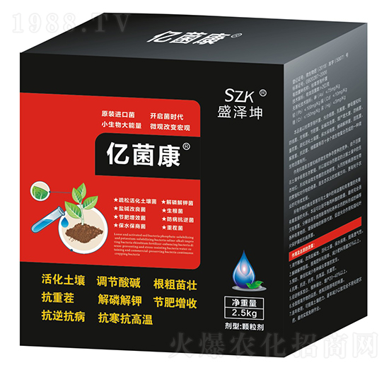 �|���� ʢ����