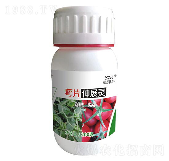 ��Ƭ��չ�` ʢ����