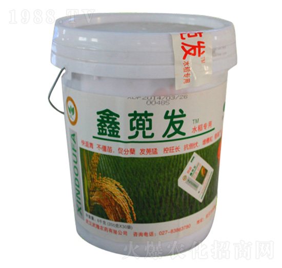 ���{�l(f��)��Ͱ�� ��¡