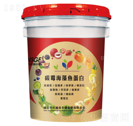 ̼ù�����~���� ���rʩ���S