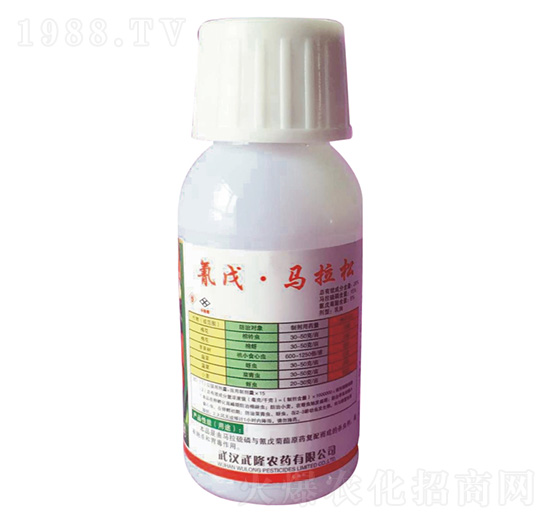 20%���졤�R���� ��¡