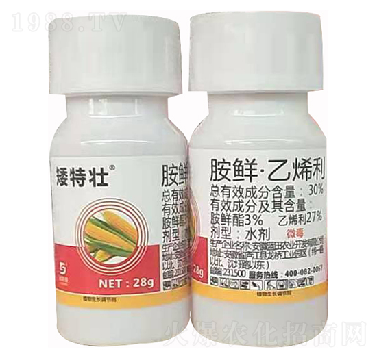 30%胺鮮·乙烯利 玉米矮特壯 迪斯曼