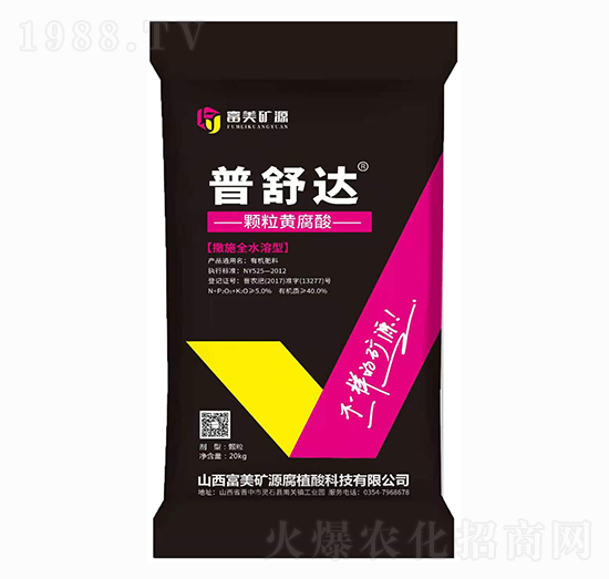 �����_ �w���S���� ����