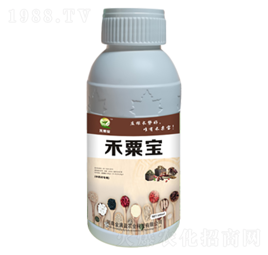 ��ˎ�Č�(zhu��n)�÷� ���ڌ� ��Mӯ�r(n��ng)�I(y��)