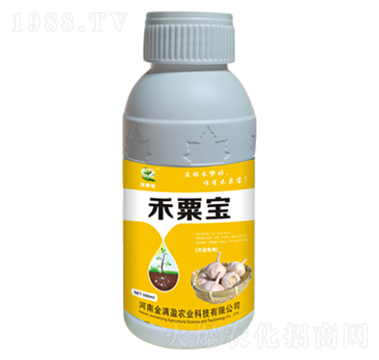 大蒜專用肥 禾粟寶 金滿盈農(nóng)業(yè)