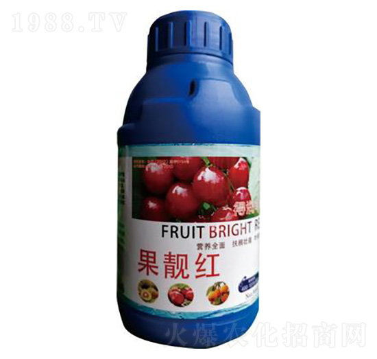 果靚紅（500g） 得潤豐