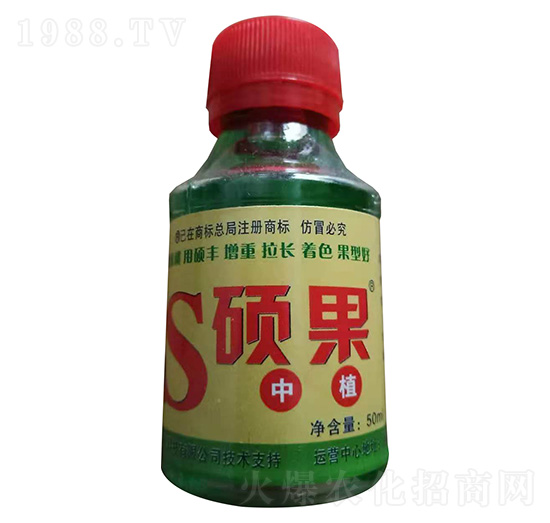 �J���Ҍ������-�T��-�T�S