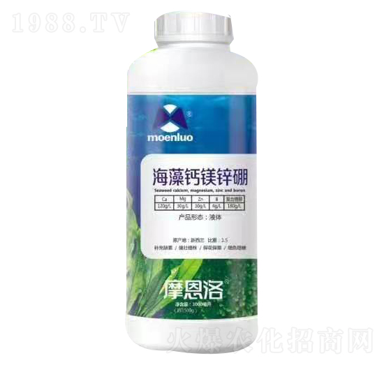 �����}�V�\�� Ħ����