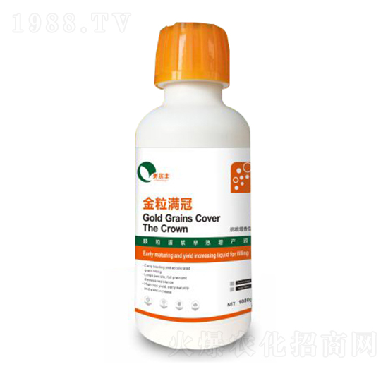 �����M��-�����S-���Π�