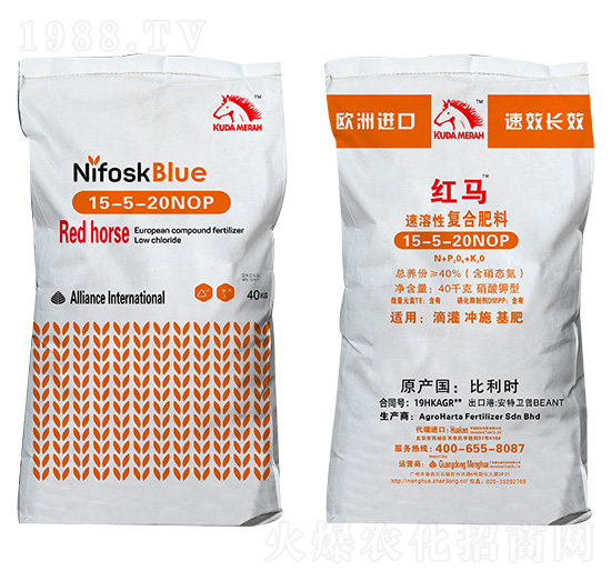 �M(j��n)�ڏ�(f��)�Ϸ� �����Ի��W(xu��)����15-5-20NOP �S�RQIAOMA