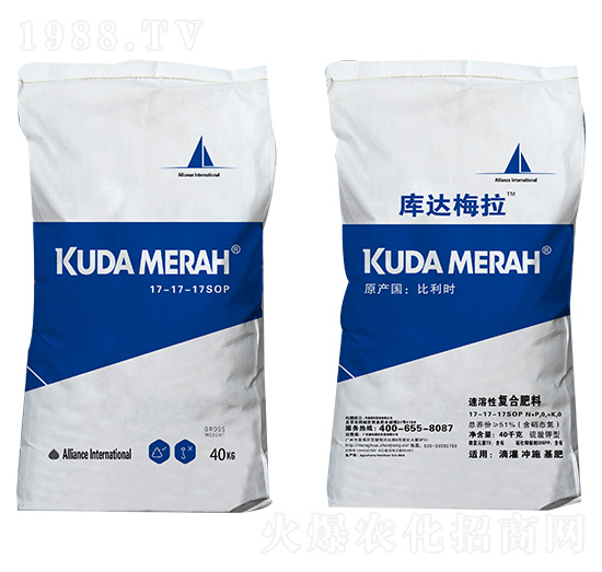 �M(j��n)�������ԏ�(f��)�Ϸ���17-17-17SOP ���_(d��)÷��