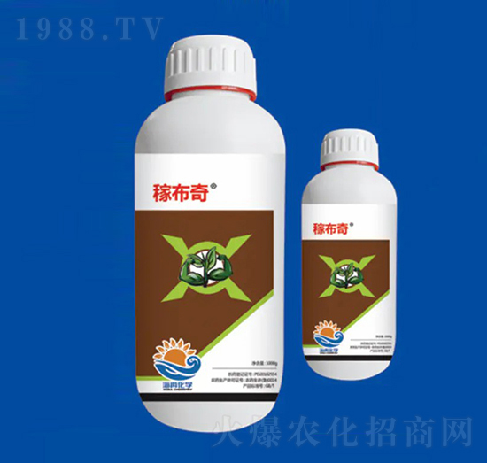 40%ϩ������˪�� �ڲ��� ��Ƚ���W(xu��)1