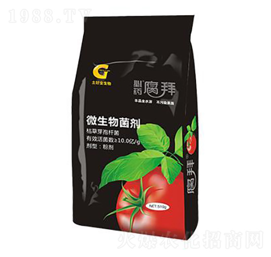 500g΢������� ���� ���ý�