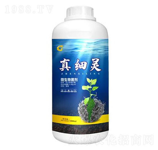1000ml�漚�` ���ý�