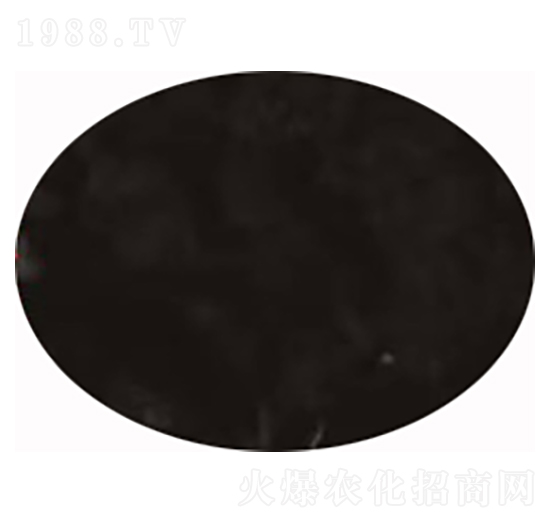 �S�������� ����