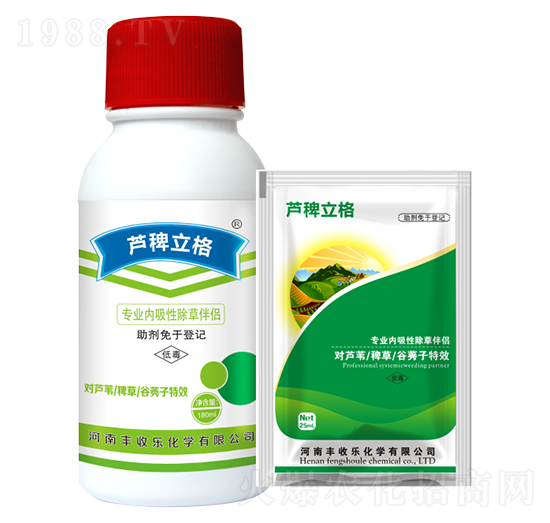 �����Գ��ݰ�H-�J������-�S�՘�