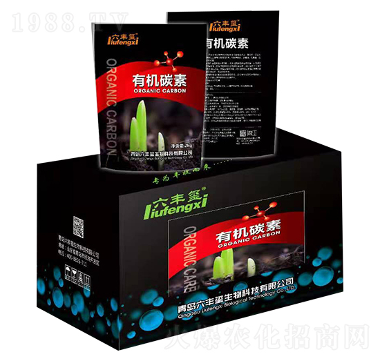 �ЙC̼��-���S�t