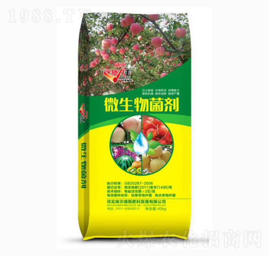 ʩ���S΢�������-ʢ�I(y��)