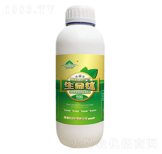 �����-�ü�-�V���ƈD