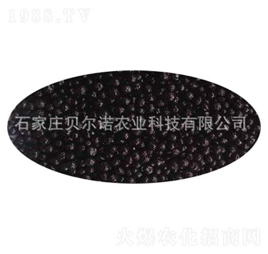 �ЙC�ʰ�Ĥ�� ؐ���Z�r(n��ng)�I(y��)