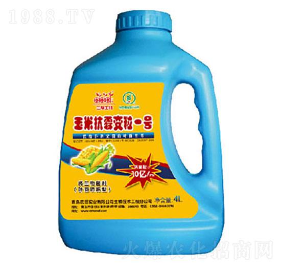 �������׿�ù׃��һ̖(h��o) �����_(d��)