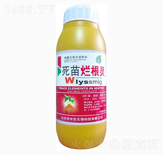 ���砀���`-�A������